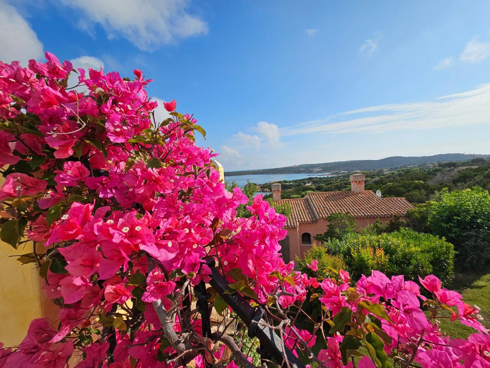 Villa Tea Costa Smeralda - Porto Cervo Exteriér fotografie