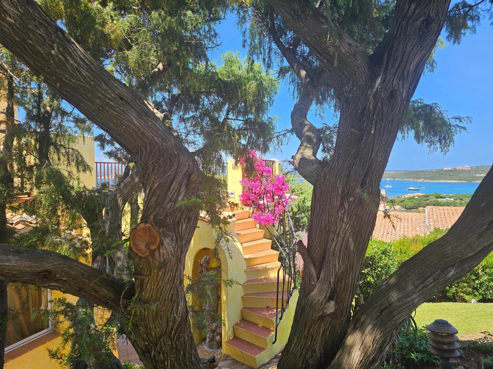 Villa Tea Costa Smeralda - Porto Cervo Exteriér fotografie
